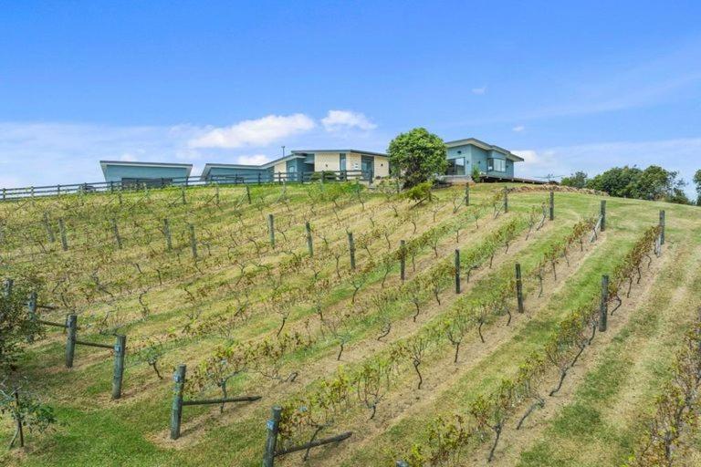 Vineyard Vacation Ξενοδοχείο Mangawhai Εξωτερικό φωτογραφία